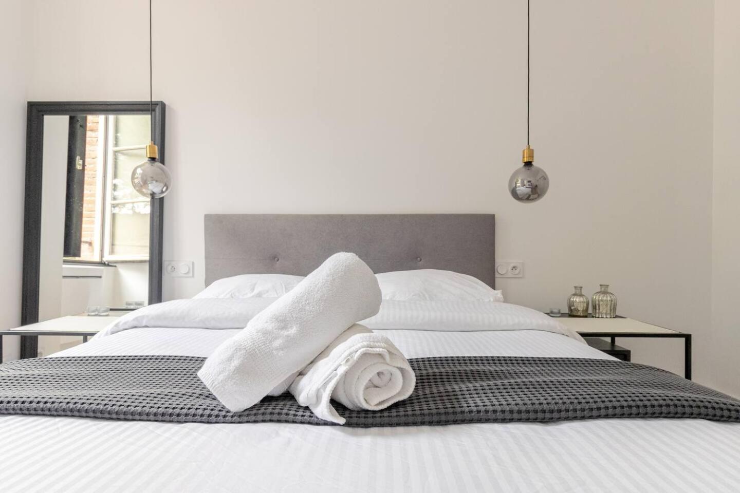 Appartement Albi Parking Gratuit Ngoại thất bức ảnh